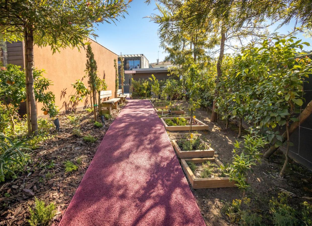 غيمارايش Vale De Sao Torcato Hotel Rural المظهر الخارجي الصورة